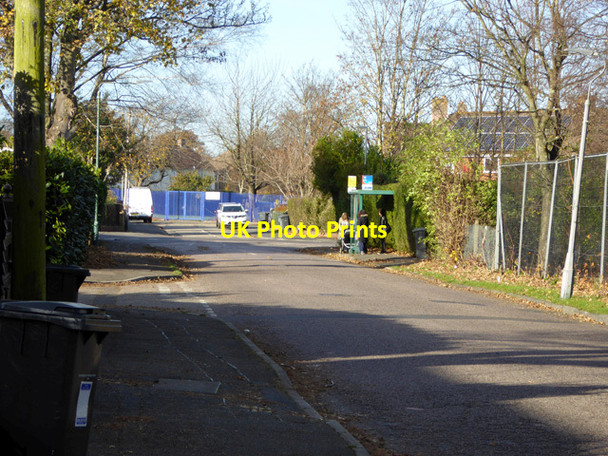 Photo 6"x4" Fernheath Road East Howe c2016