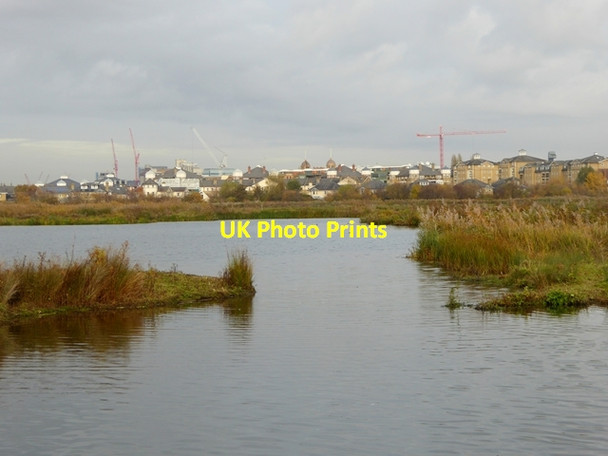 Photo 6"x4" Main Pond, London Wetland Centre Barnes c2016