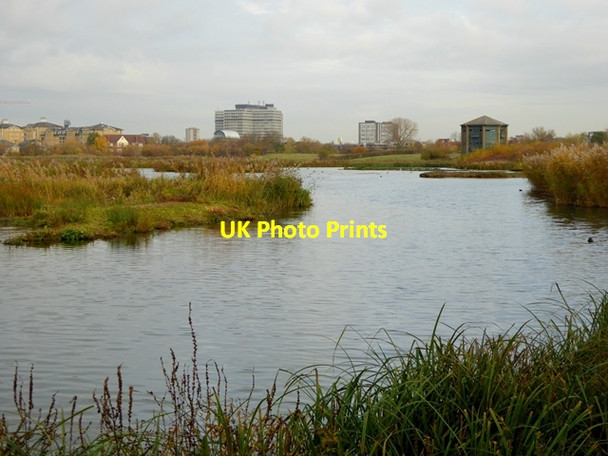 Photo 6"x4" Main Pond, London Wetland Centre Barnes c2016 P1