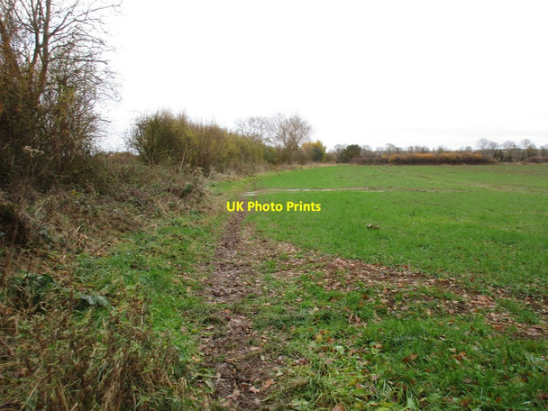 Photo 6"x4" Footpath to Hayton Retford c2016