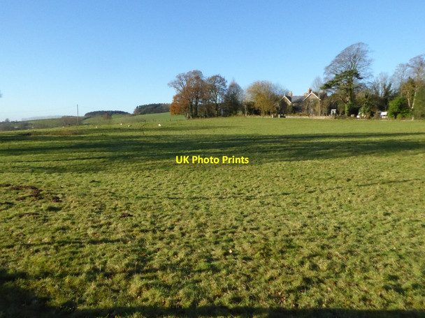 Photo 6"x4" Hatfield Court Pudleston c2016