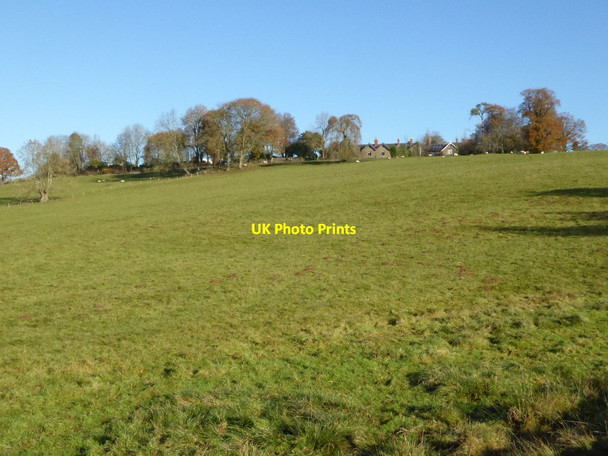 Photo 6"x4" Below Hatfeld Court Docklow c2016