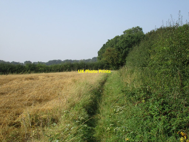 Photo 6"x4" Approaching Cocked Hat Plantation Moorhouse\/SK7566 c2016
