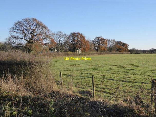 Photo 6"x4" Farmland south of Croydon Barn Lane Horne c2016