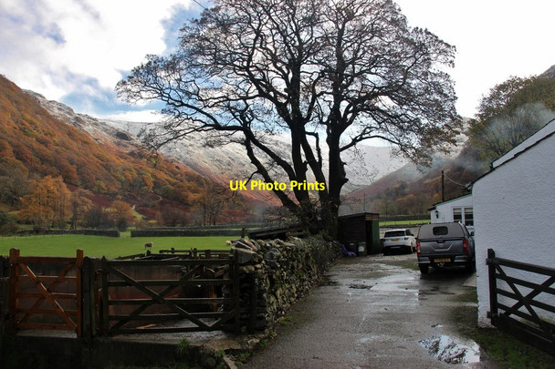 Photo 6"x4" Farm at Stonethwaite Stonethwaite\/NY2613 c2016