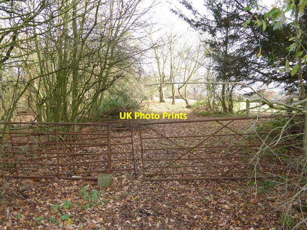 Photo 6"x4" Private track to Eastridge Farm seen from footpath Kent Street\/TQ2221 c2016