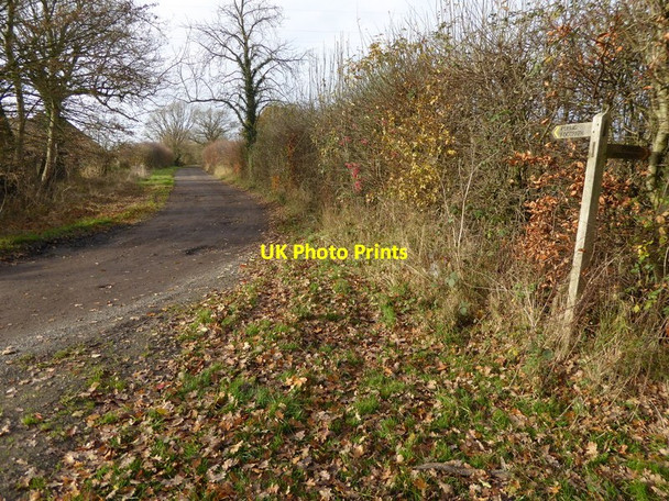 Photo 6"x4" Footpath goes west to Westridge Farm Kent Street\/TQ2221 c2016