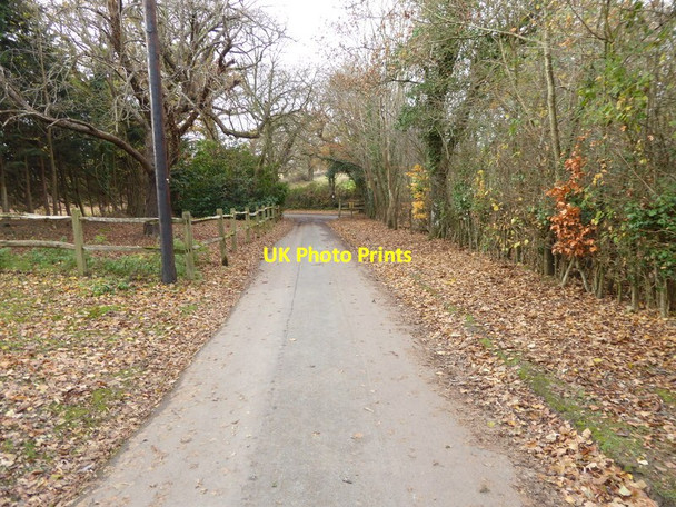 Photo 6"x4" Footpath goes west to Kentstreet Lane Kent Street\/TQ2221 c2016
