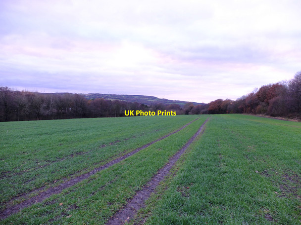 Photo 6"x4" Field between Calico Wood and Hullet Hole Wood, Shevington Vale Shevington Vale c2016