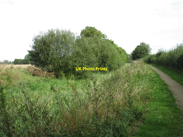 Photo 6"x4" The Grantham Canal near Wild's Bridge Owthorpe c2016