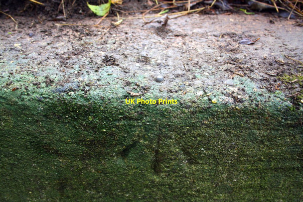 Photo 6"x4" Benchmark on ditch culvert beside High Street north of Gun Lane junction Sherington c2016
