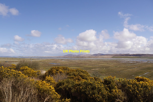 Photo 6"x4" Wetland, Loch Gruinart Aoradh c2016