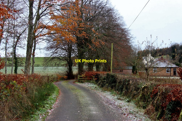 Photo 6"x4" Driveway to Mc Whanrick Holywood\/NX9480 c2016