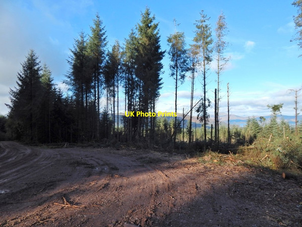 Photo 6"x4" Corner of a forestry track Arden\/NS3684 c2016