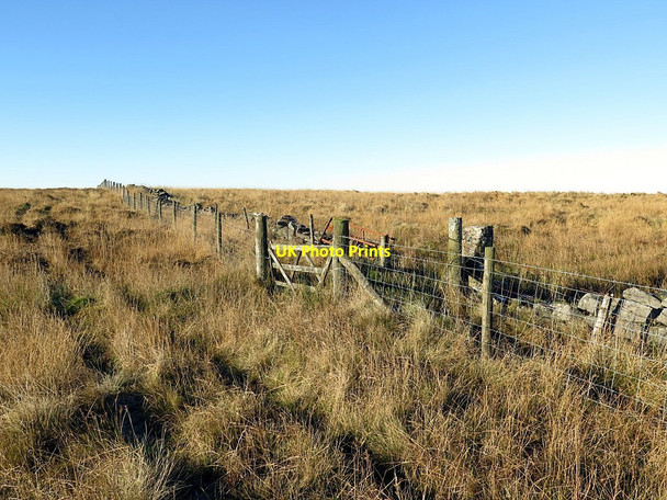 Photo 6"x4" Bridleway near The Beacon Bewcastle c2016