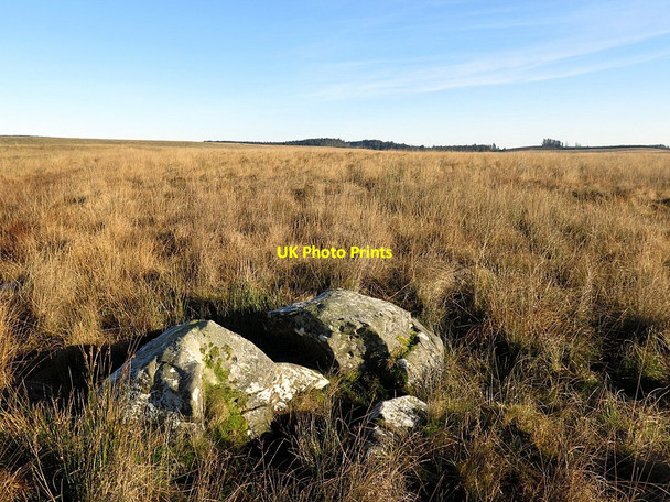 Photo 6"x4" Side Fell towards Spadeadam Bewcastle c2016