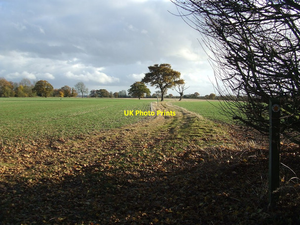 Photo 6"x4" Footpath And Field Howlett End c2016