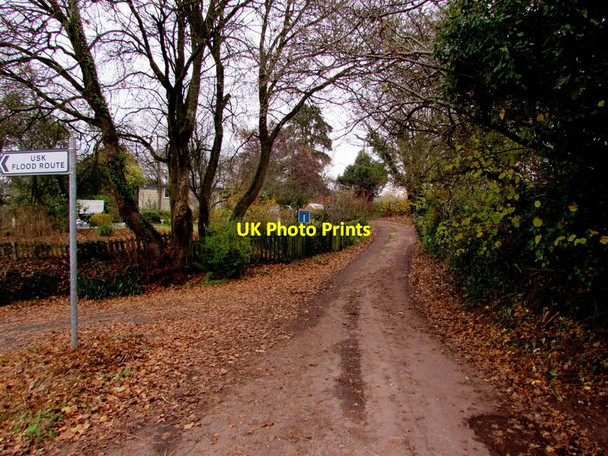 Photo 6"x4" Side road in Llanllowell Usk\/Brynbuga c2016