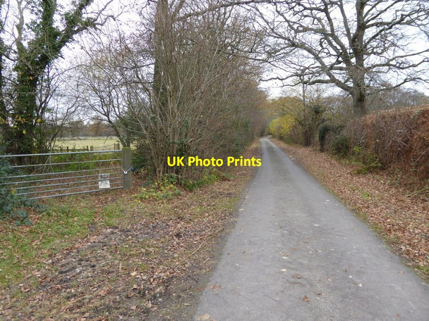 Photo 6"x4" Looking west on Bull's Lane Cowfold\/TQ2122 c2016