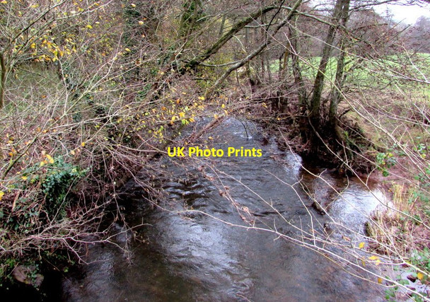Photo 6"x4" Downstream along Olway Brook, Llanllowell Usk\/Brynbuga c2016