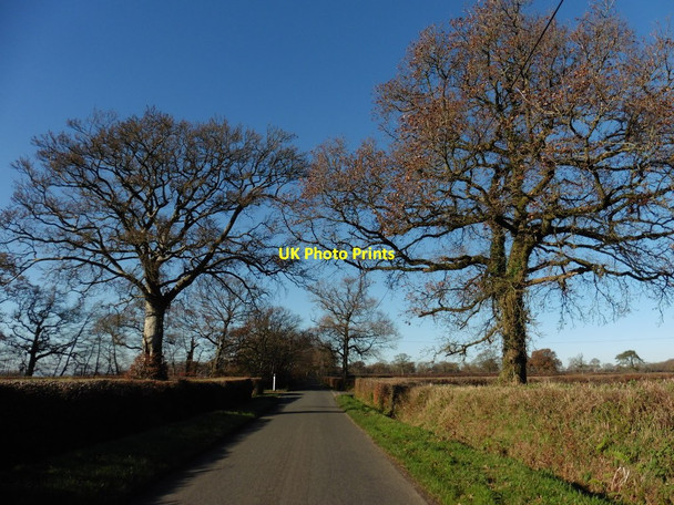 Photo 6"x4" Approaching Leigh Cross Madford c2016