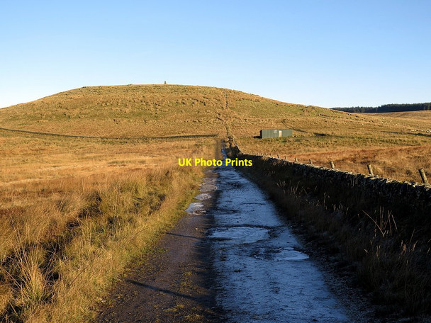 Photo 6"x4" Track near Black Moss Bewcastle c2016
