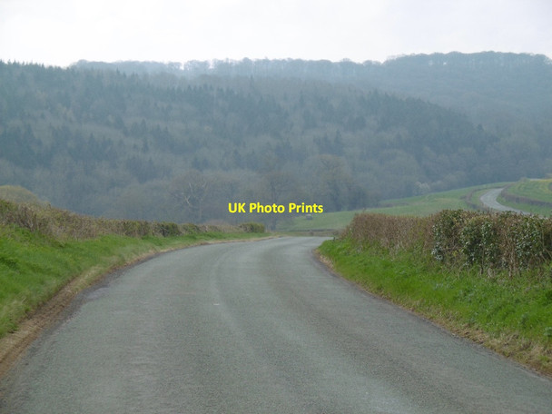 Photo 6"x4" Hoarwithy Road Twyford Common c2016