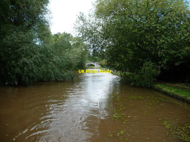 Photo 6"x4" Shropshire Union Canal, between bridges 98 and 99 Barbridge c2016