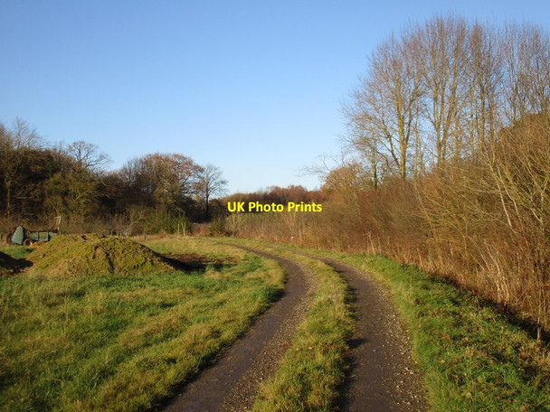 Photo 6"x4" Track approaching Stainton Wood Reasby c2016