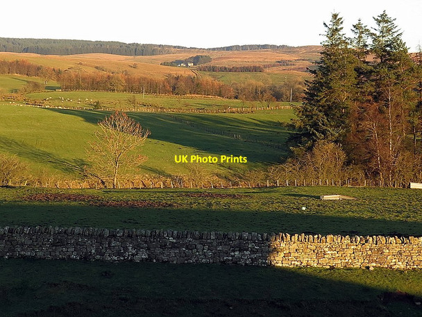 Photo 6"x4" Pasture along Kirk Beck Bewcastle c2016
