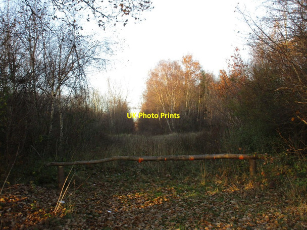 Photo 6"x4" Entrance to Rand Wood Bullington c2016