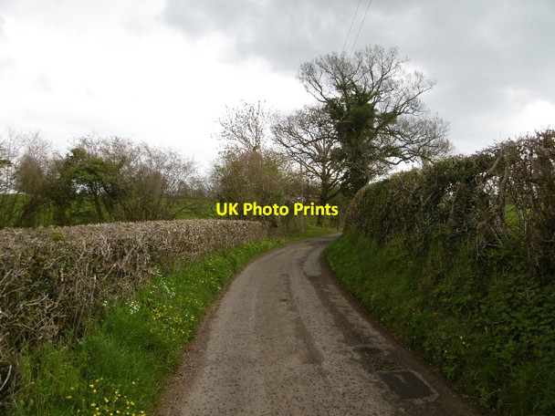 Photo 6"x4" Springetts Lane Ross-on-Wye c2016