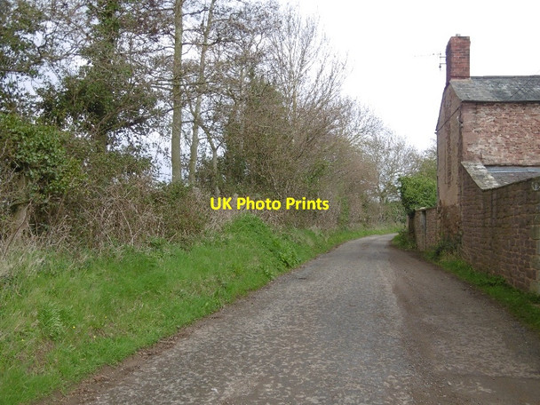 Photo 6"x4" Springetts Lane Kingstone\/SO6324 c2016