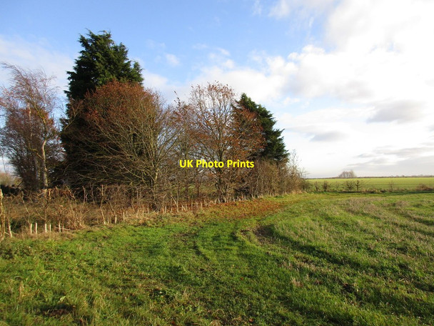 Photo 6"x4" Trees in the angle Fulnetby c2016