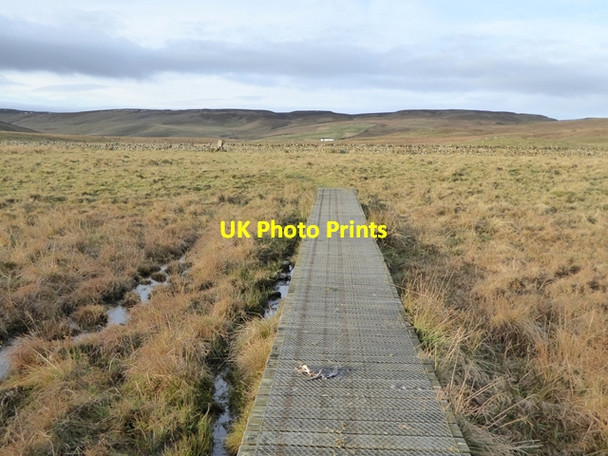 Photo 6"x4" Boardwalk on the Pennine Way Langdon Beck\/NY8531 c2016