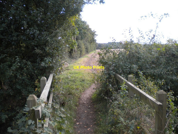 Photo 6"x4" Bridleway to the River Trent from Caythorpe Caythorpe\/SK6845 c2016