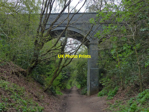 Photo 6"x4" Bridge crossing the South Staffordshire Railway Walk Ounsdale c2016