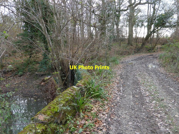 Photo 6"x4" Looking south on path from Haven Bridge Copsale c2016