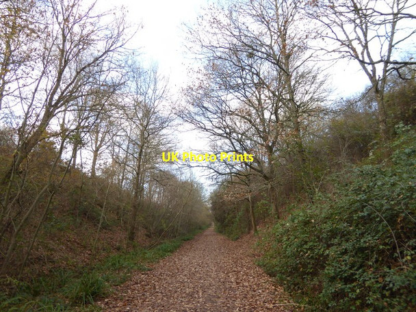 Photo 6"x4" Downs Link looking northwards Copsale c2016