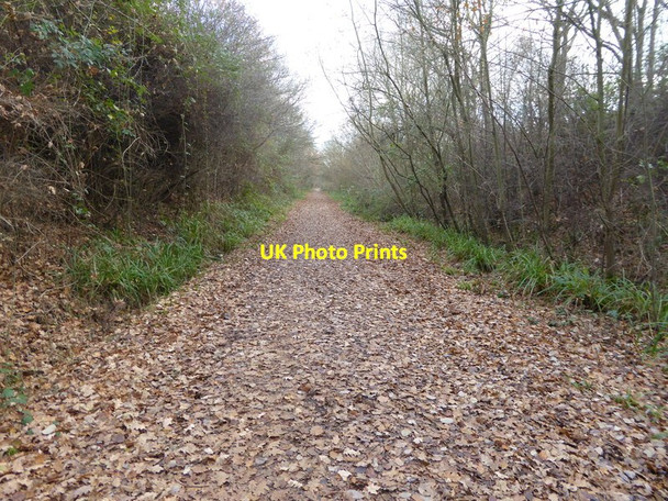 Photo 6"x4" Downs Link looking southwards Copsale c2016