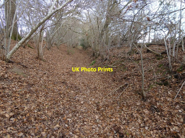 Photo 6"x4" Footpath going north between Downs Link and Copsale Road Copsale c2016