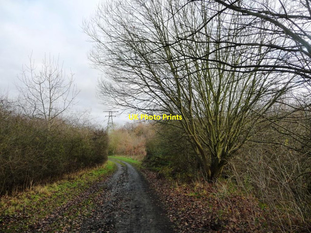 Photo 6"x4" Early December, the Trans Pennine Trail near Wombwell Smithley c2016