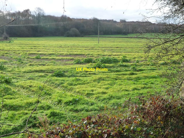 Photo 6"x4" Farmland north of Smithley Worsbrough c2016