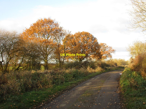 Photo 6"x4" The last sign of autumn Waddingham c2016