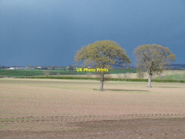 Photo 6"x4" A big field Tillers' Green c2016