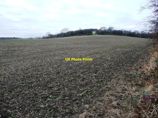Photo 6"x4" Public footpath across a bean field Low Laithes\/SE3804 c2016