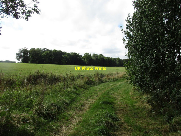 Photo 6"x4" Track and Westland Wood Exton\/SK9211 c2016