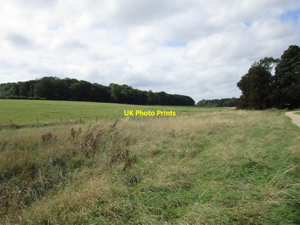 Photo 6"x4" View towards Westland Wood Exton\/SK9211 c2016