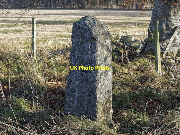 Photo 6"x4" Upright Stone Cantraywood c2016