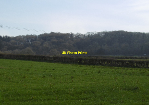 Photo 6"x4" Fields, Wessington Lower Buckenhill c2016